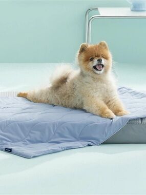 PREMIUM BEDSURE COOLING PET BLANKETS❗️❗️🐾😊 ❄️🧊🧊 VERY COOLING